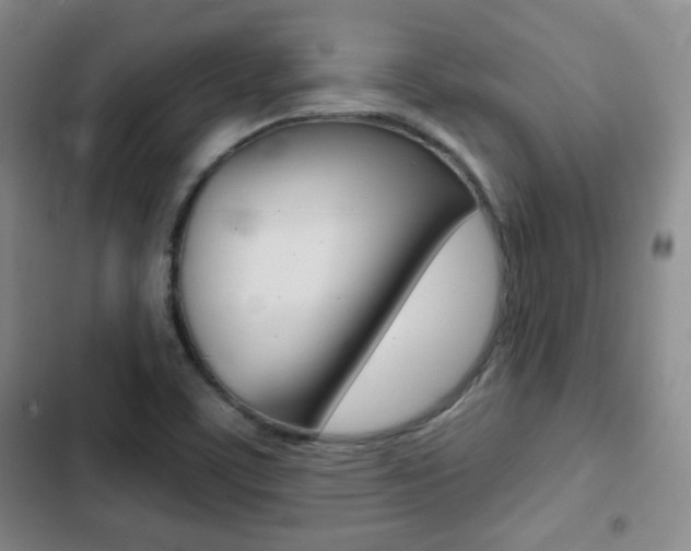 X0000103261459200808291031