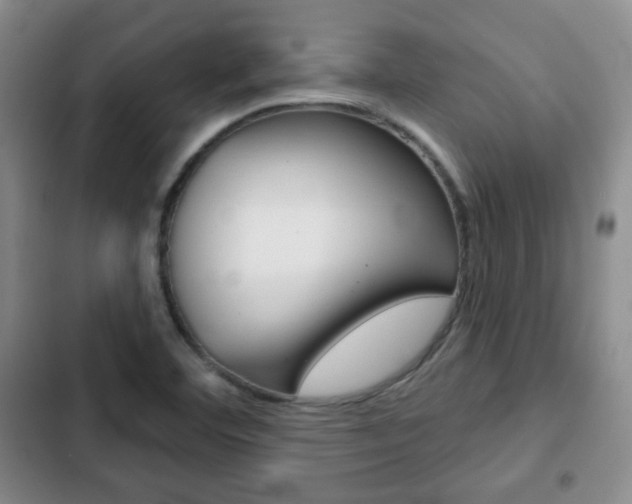 X0000103261460200808291031