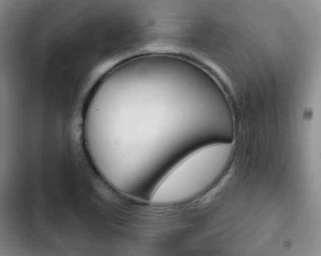 X0000103261461200808291031