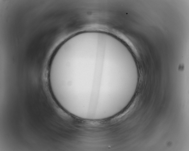 X0000103261462200808291031