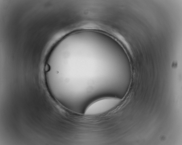 X0000103261464200808291031