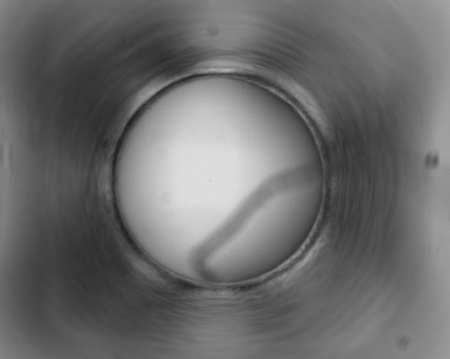 X0000103261465200808291031