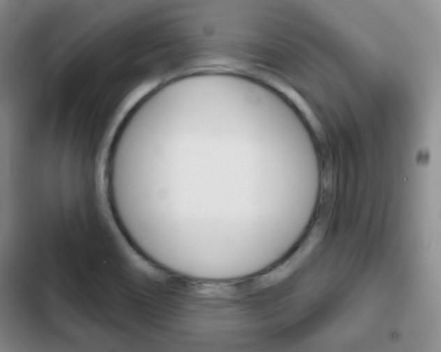X0000103261466200808291031