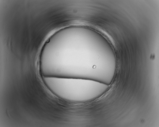 X0000103261467200808291031