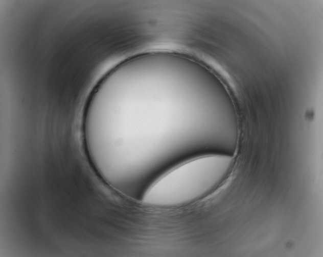X0000103261469200808291031