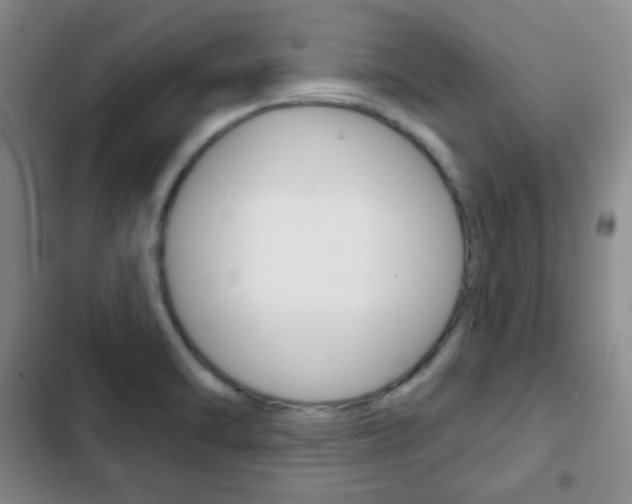 X0000103261470200808291031