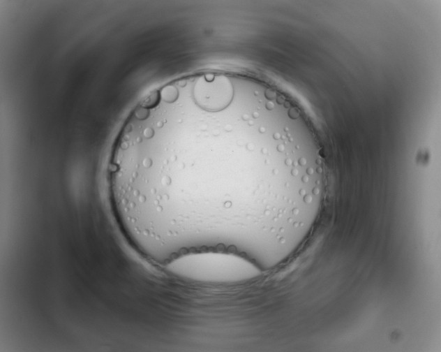 X0000103261471200808291031