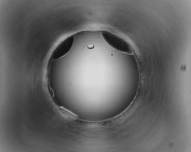 X0000103261472200808291031
