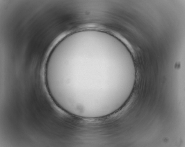 X0000103261474200808291031