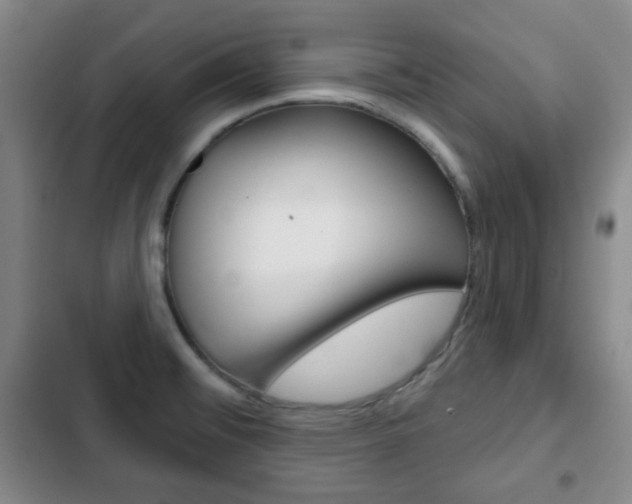 X0000103261476200808291031
