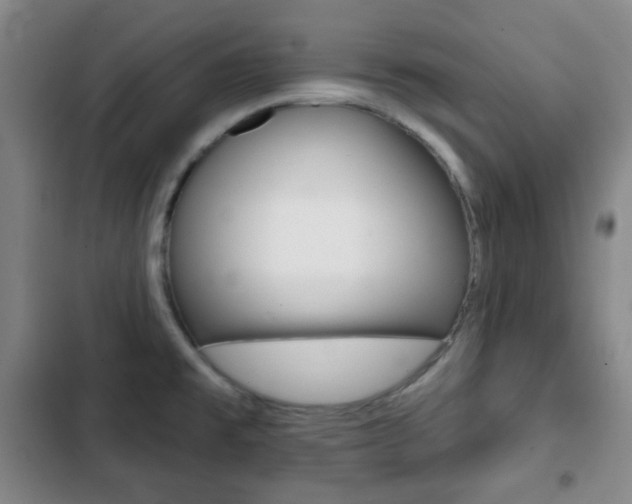 X0000103261477200808291031