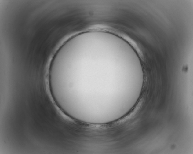 X0000103261478200808291031