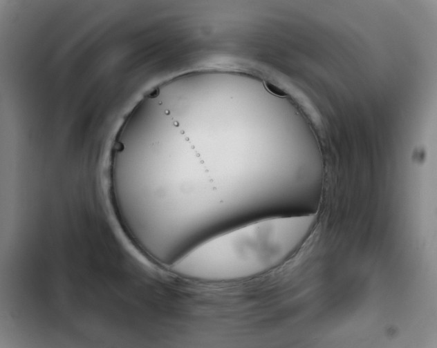 X0000103261479200808291031