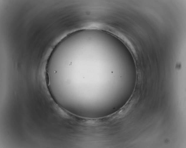 X0000103261480200808291031