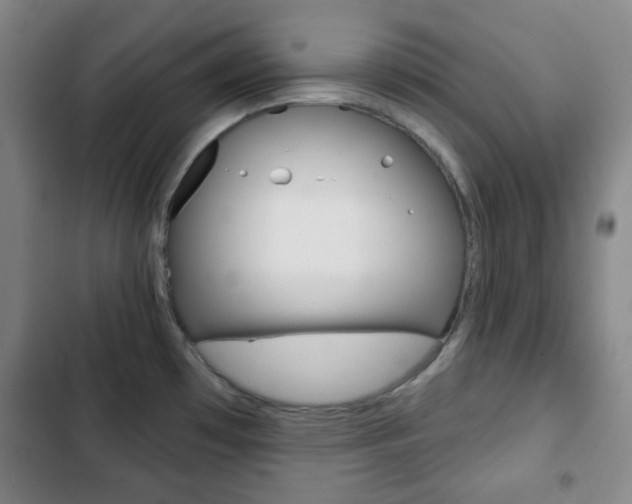 X0000103261481200808291031