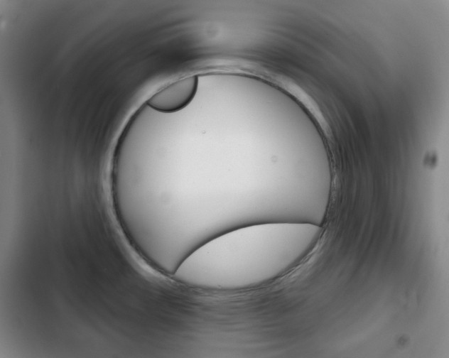 X0000103261482200808291031