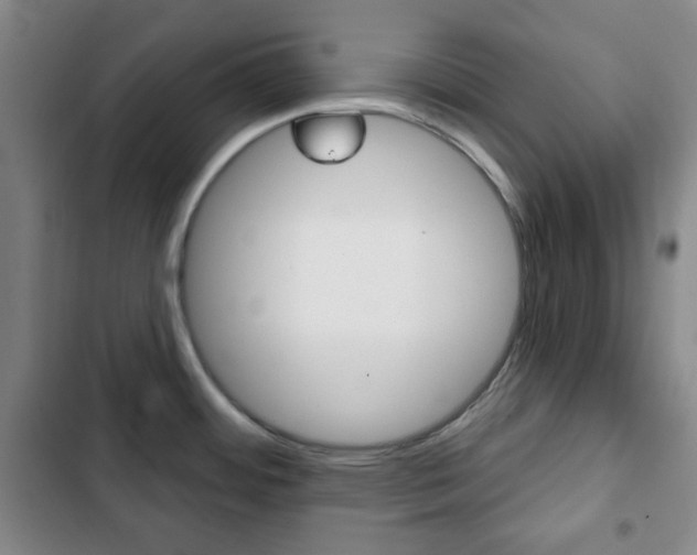 X0000103261484200808291031
