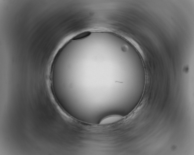 X0000103261485200808291031