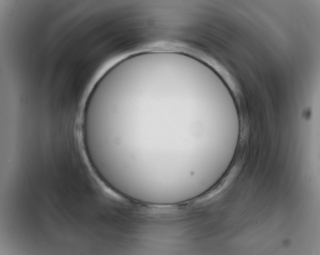X0000103261486200808291031