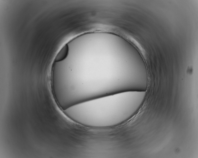 X0000103261487200808291031
