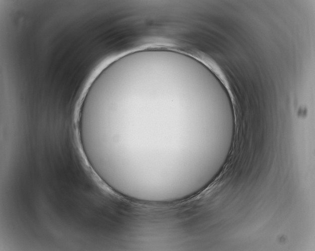 X0000103261488200808291031