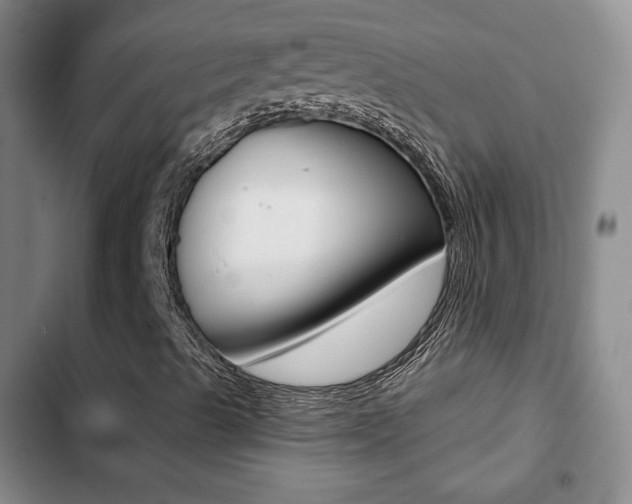 X0000103261489200808291030