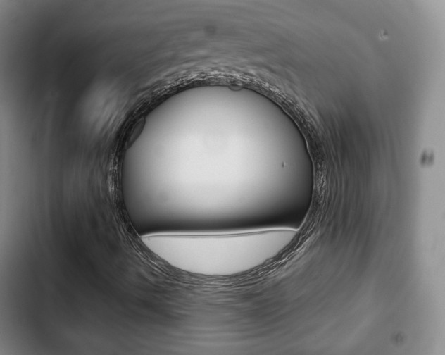 X0000103261490200808291030