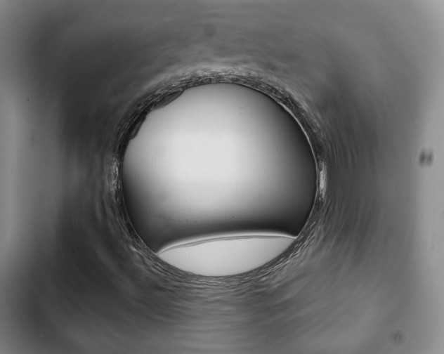 X0000103261492200808291030