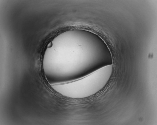 X0000103261493200808291030
