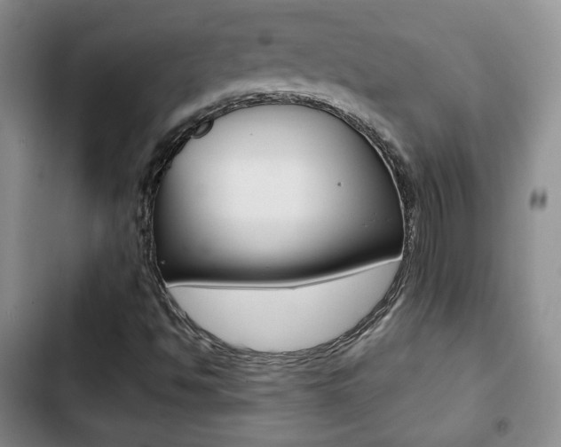 X0000103261494200808291030