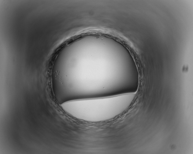 X0000103261496200808291030