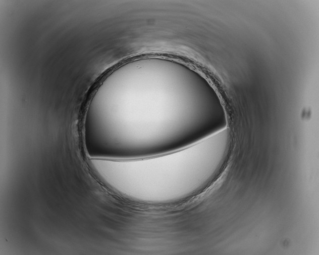 X0000103261497200808291030