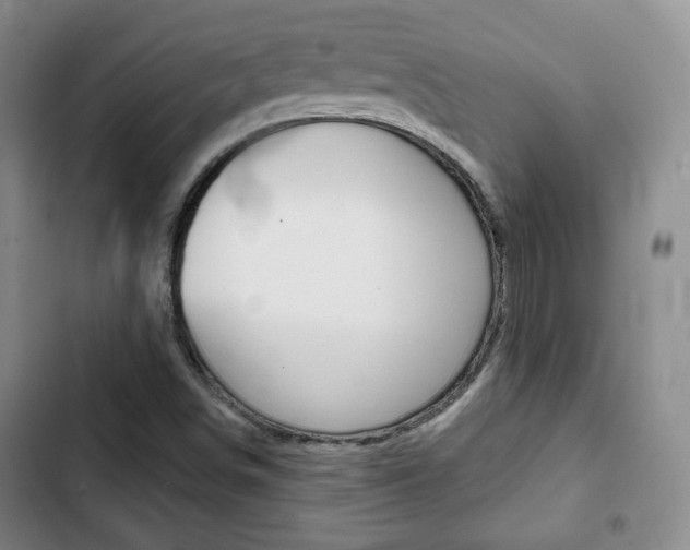 X0000103261498200808291030