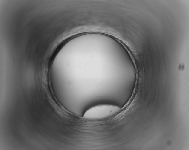 X0000103261499200808291030