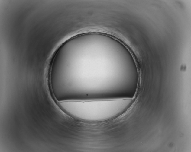 X0000103261500200808291030