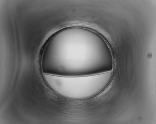 X0000103261501200808291030