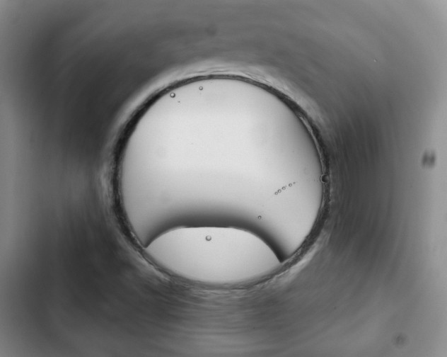 X0000103261502200808291030