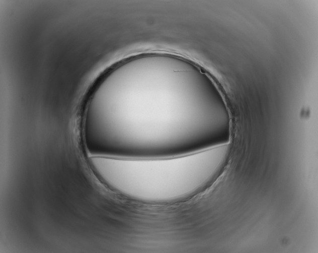 X0000103261503200808291030