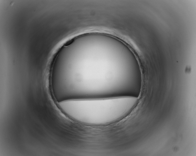 X0000103261504200808291030