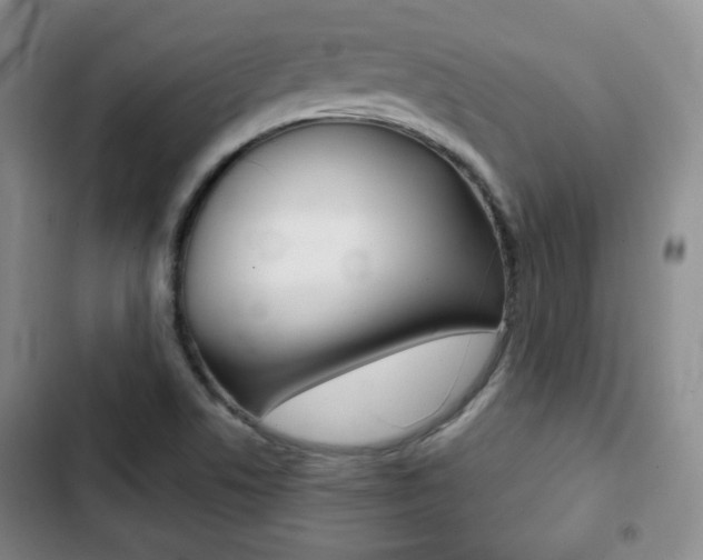 X0000103261506200808291031