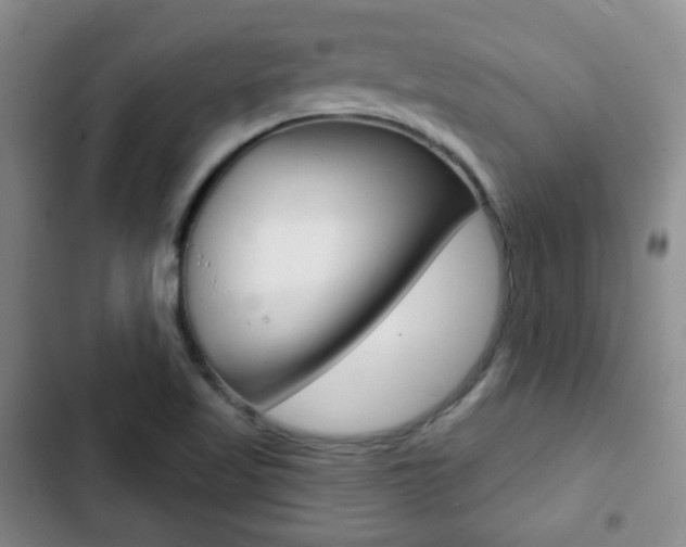X0000103261509200808291031
