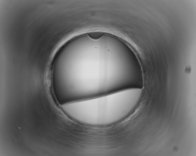 X0000103261510200808291031