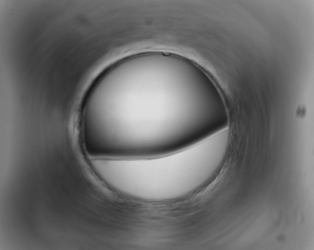 X0000103261511200808291031