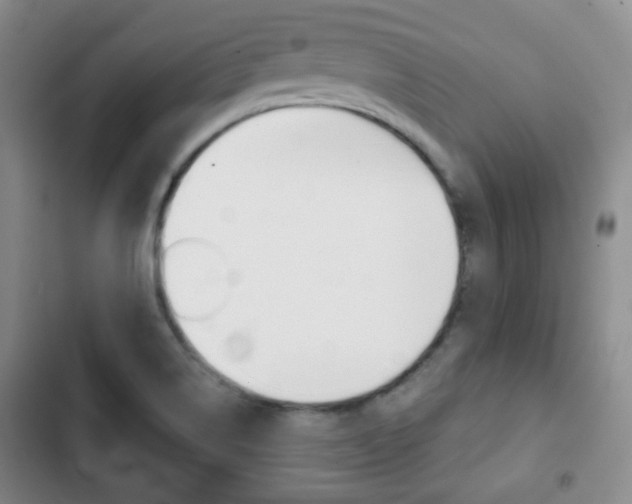 X0000103261514200808291031