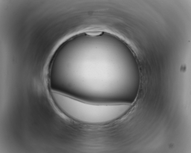 X0000103261519200808291031