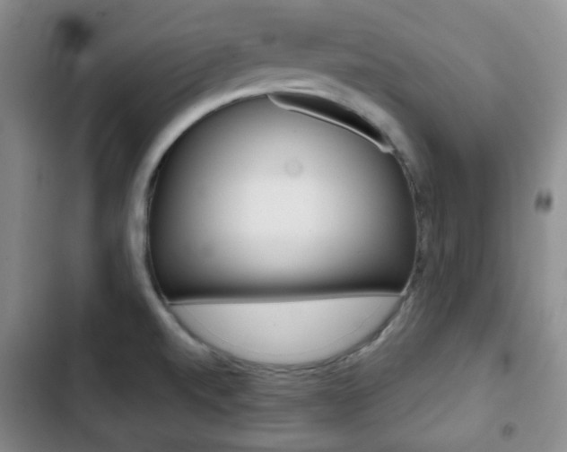 X0000103261520200808291031