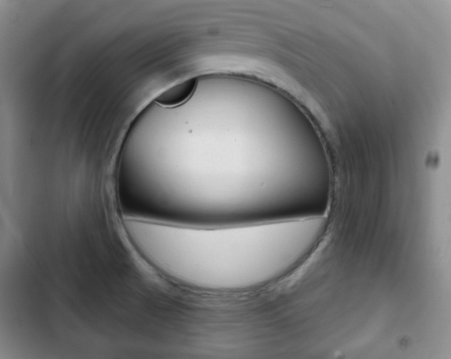 X0000103261521200808291031