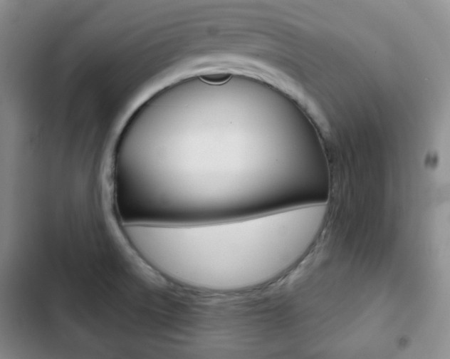 X0000103261522200808291031
