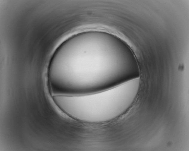 X0000103261523200808291031