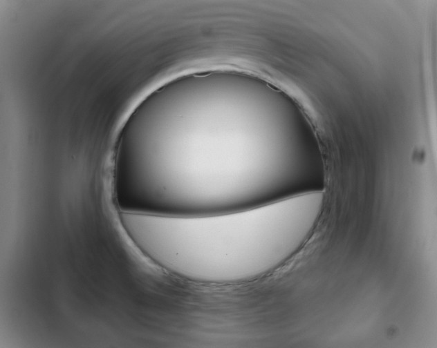 X0000103261524200808291031